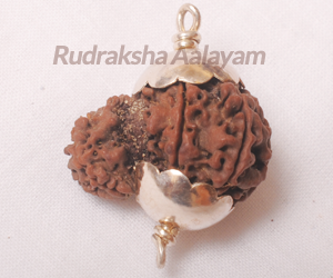 Garba Gowri Rudraksha Chennai