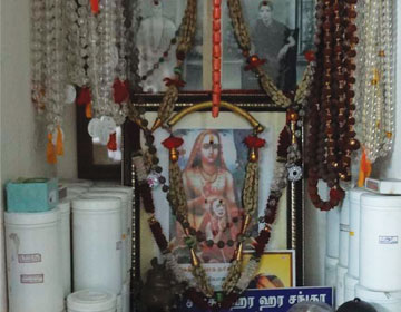 Rudraksha