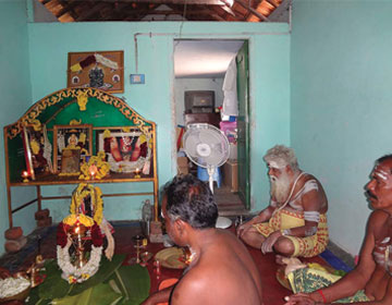 Rudraksha